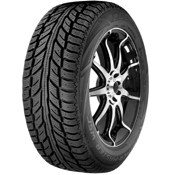 205/55R16 91T WeatherMaster WSC COOPER 205/55R16